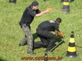 /album/treinamentos/treinamento-cati-11-e-12-12-2010-77-jpg/
